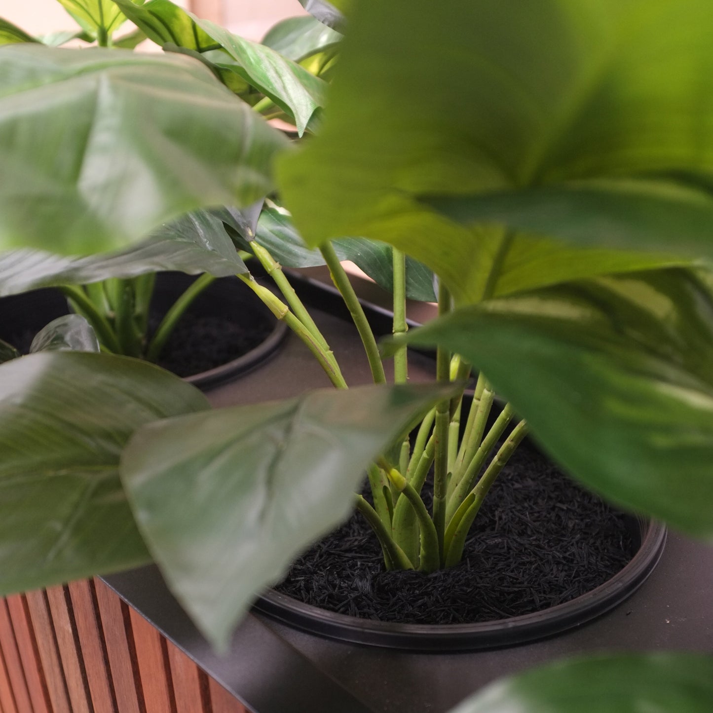Artificial Plant Kit