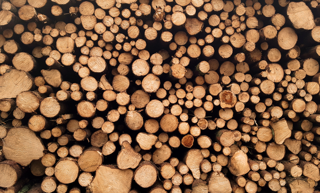 Why timber is the best material to use in the garden