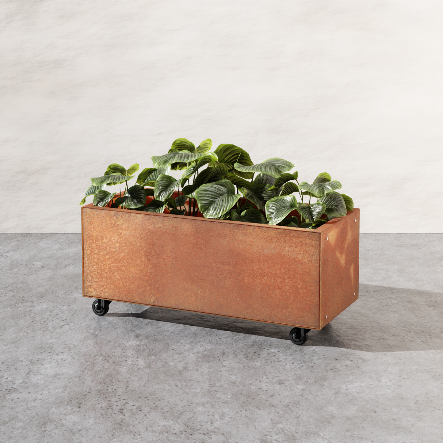 Corten Low Planter