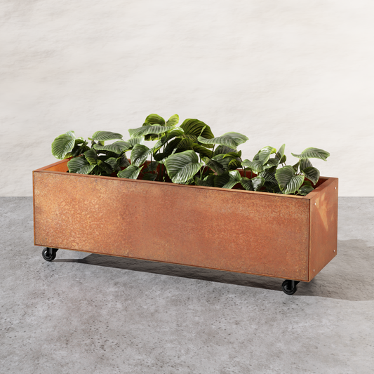 Corten Low Planter