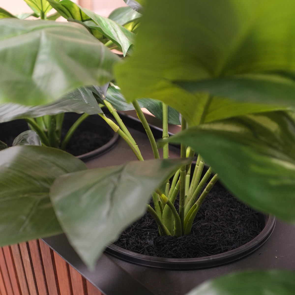 Artificial Plant Kit