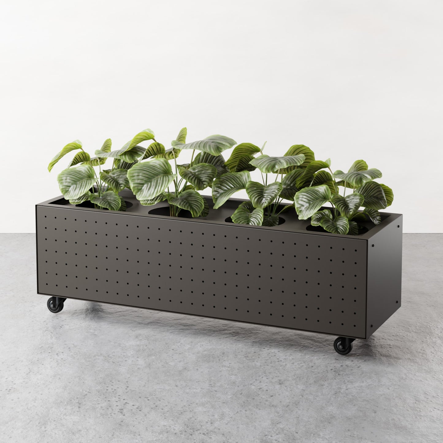 ALLO Perf Low Planter