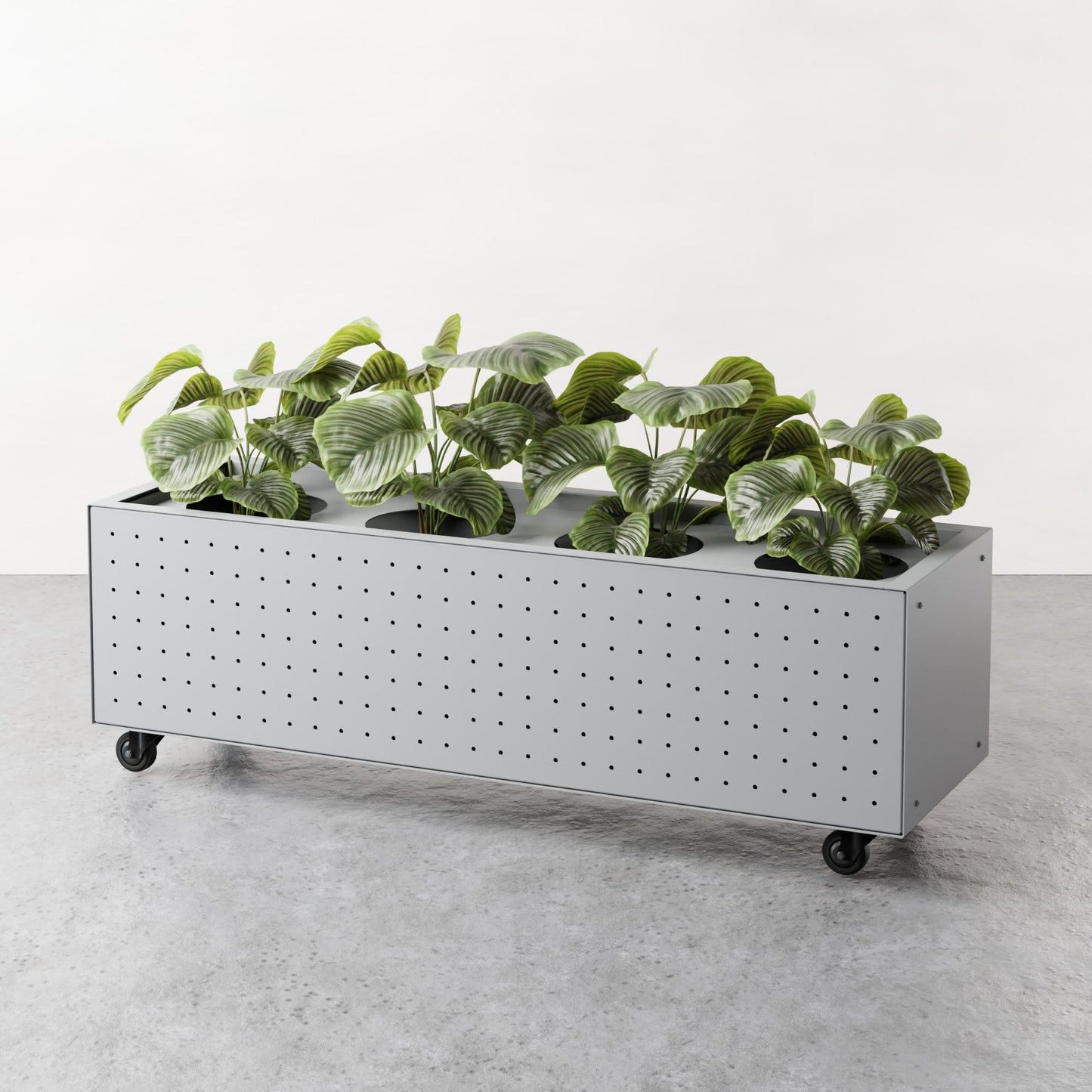 ALLO Perf Low Planter