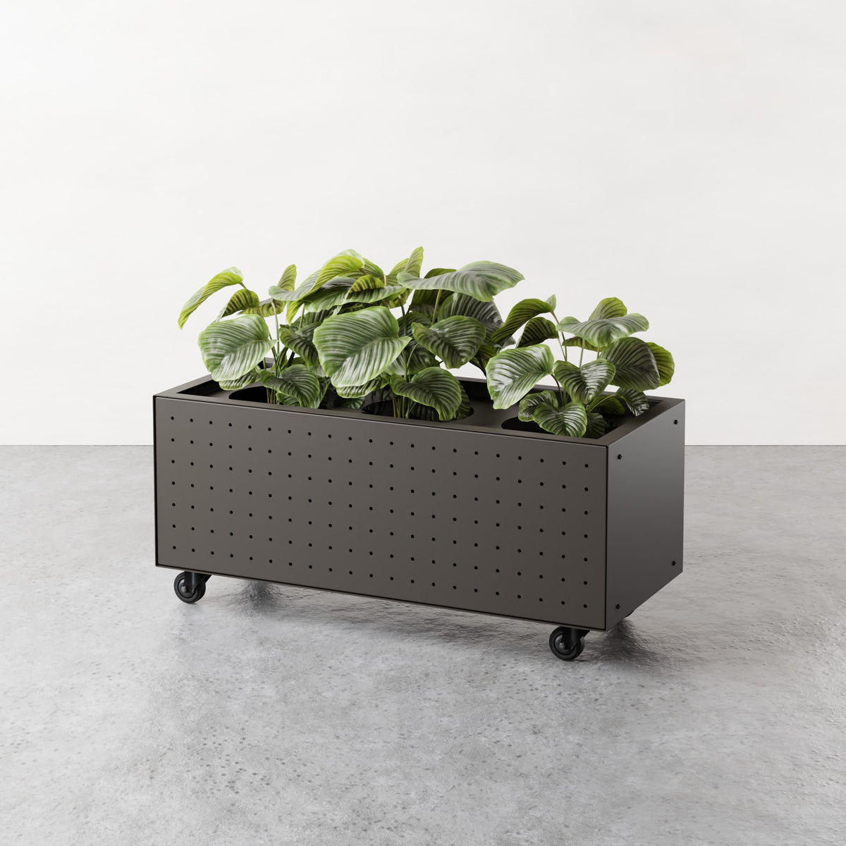 ALLO Perf Low Planter
