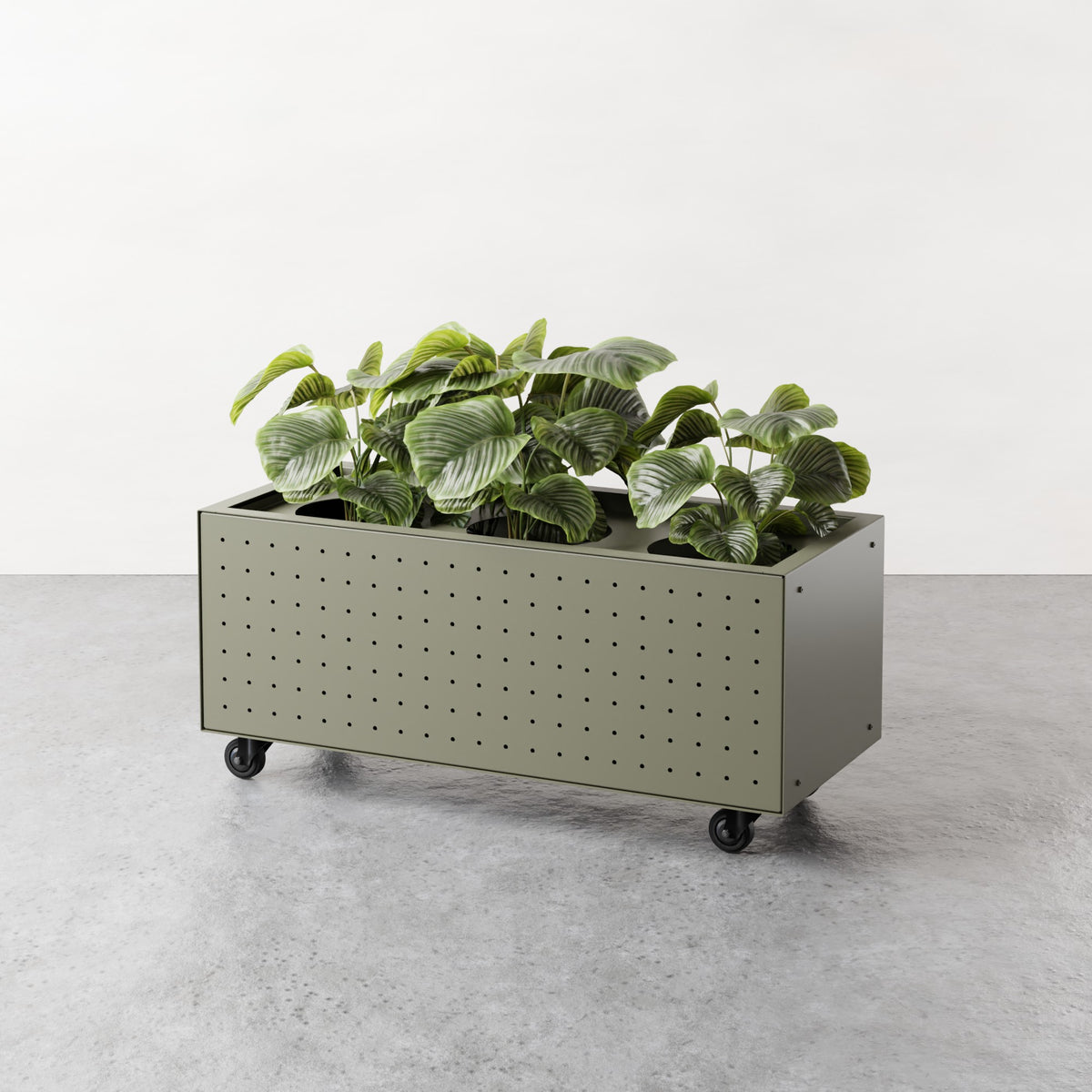 ALLO Perf Low Planter