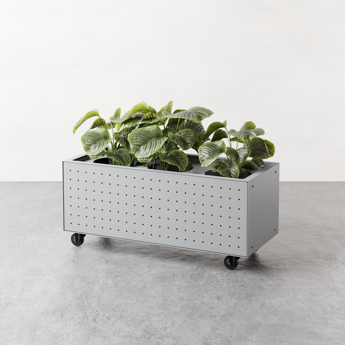 ALLO Perf Low Planter