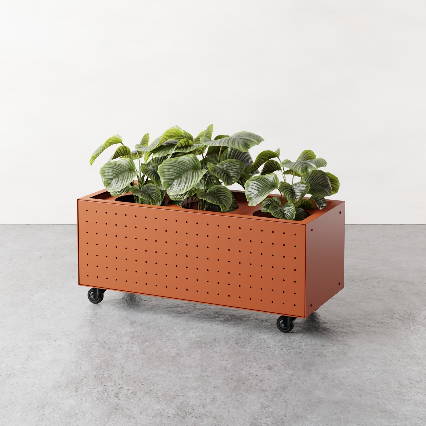 ALLO Perf Low Planter