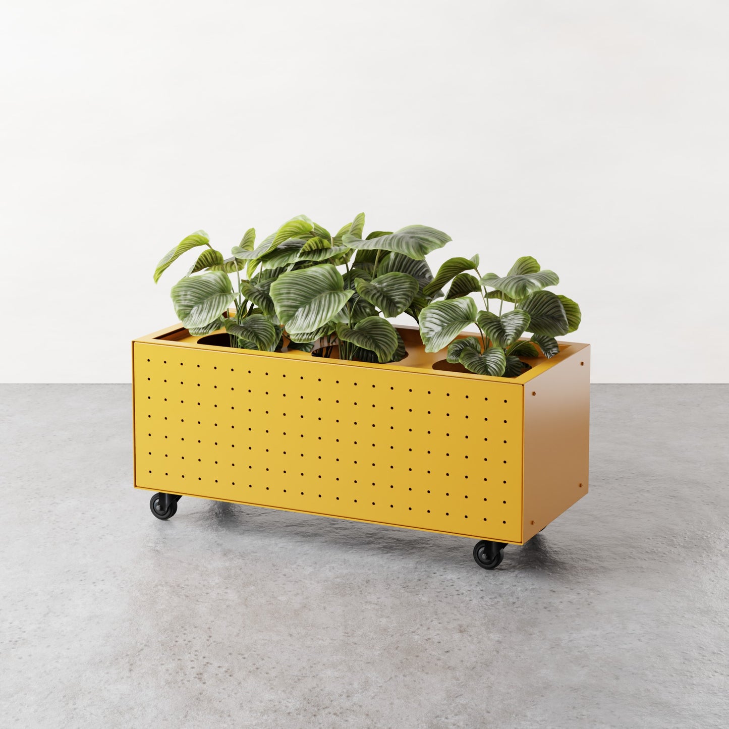 ALLO Perf Low Planter