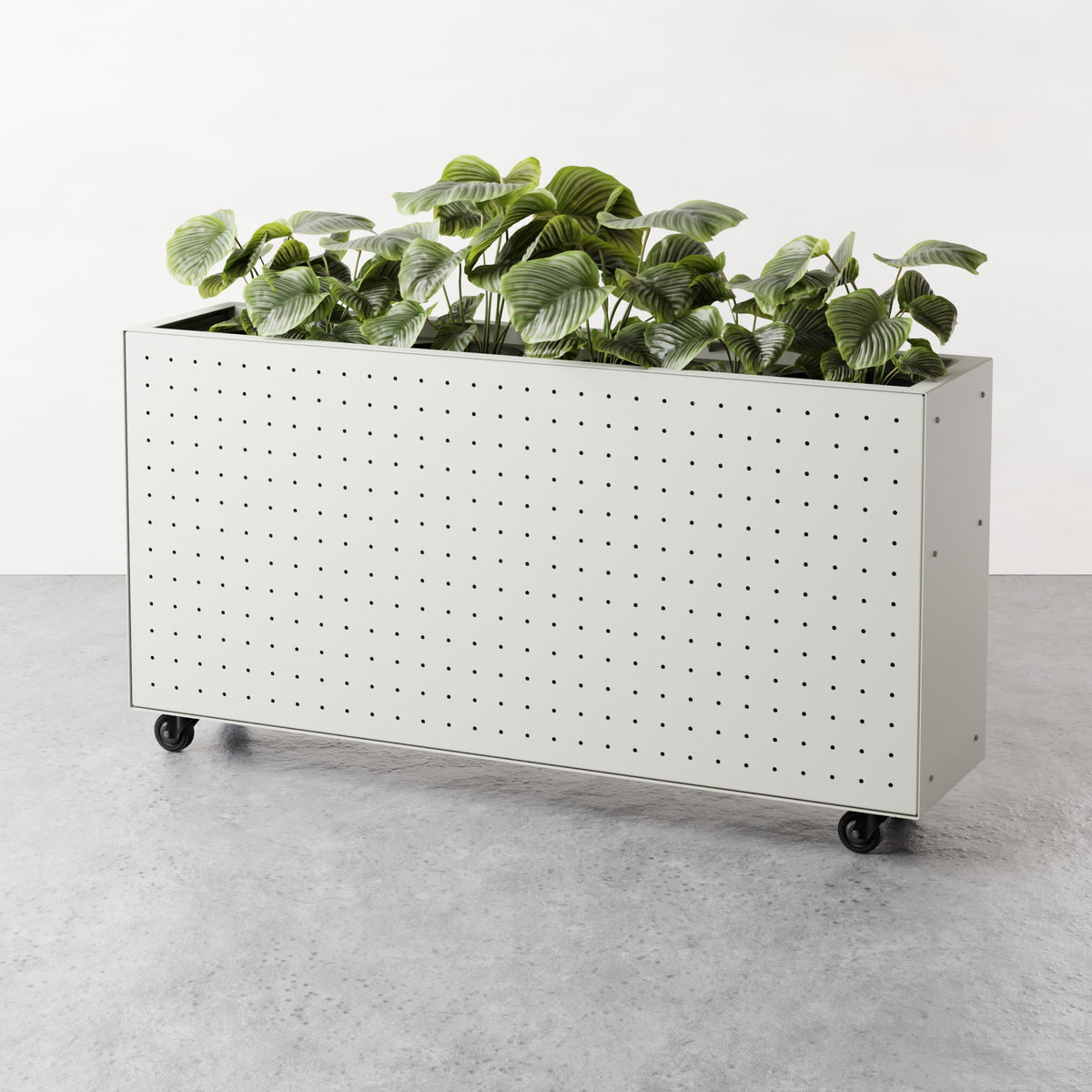 ALLO Perf Barrier Planter
