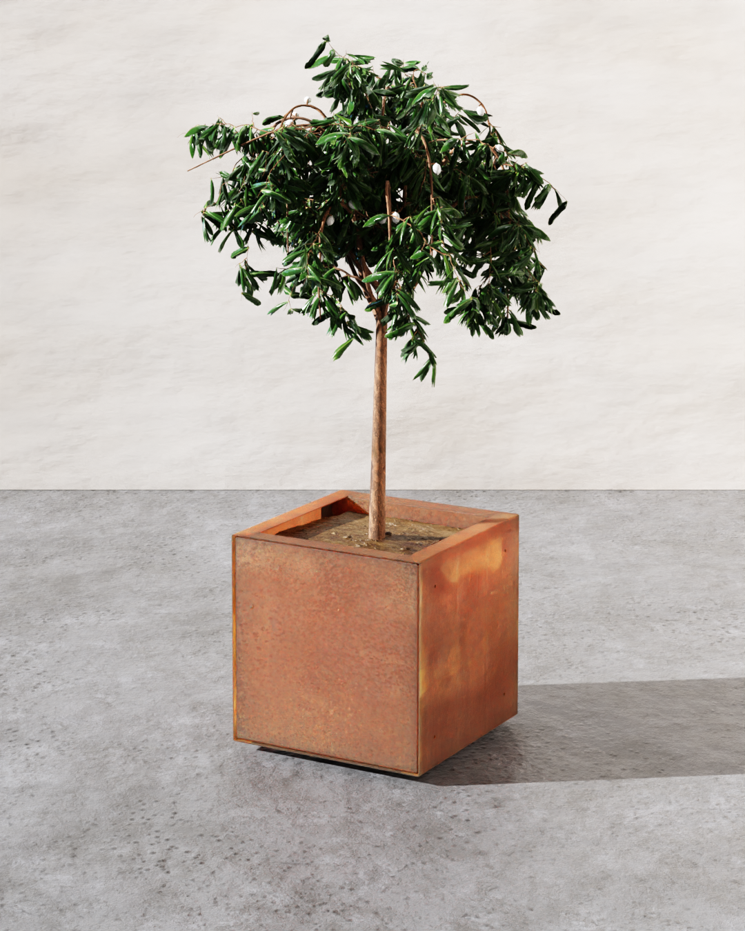 Corten Square Planters