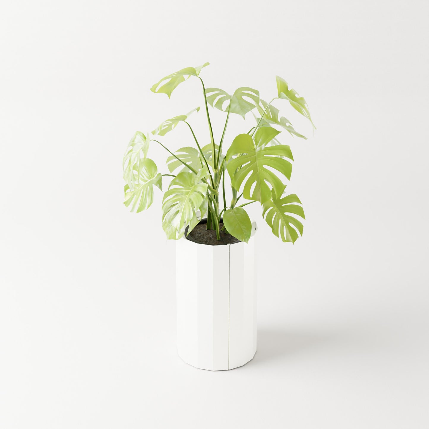 Furl Planter