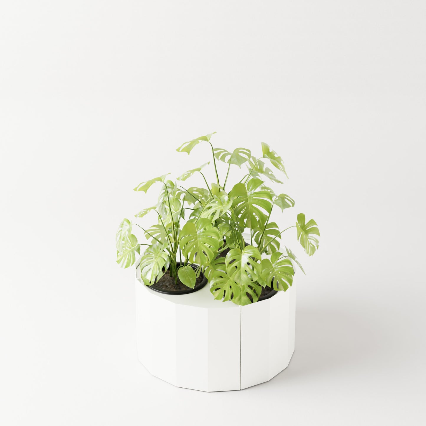Furl Planter