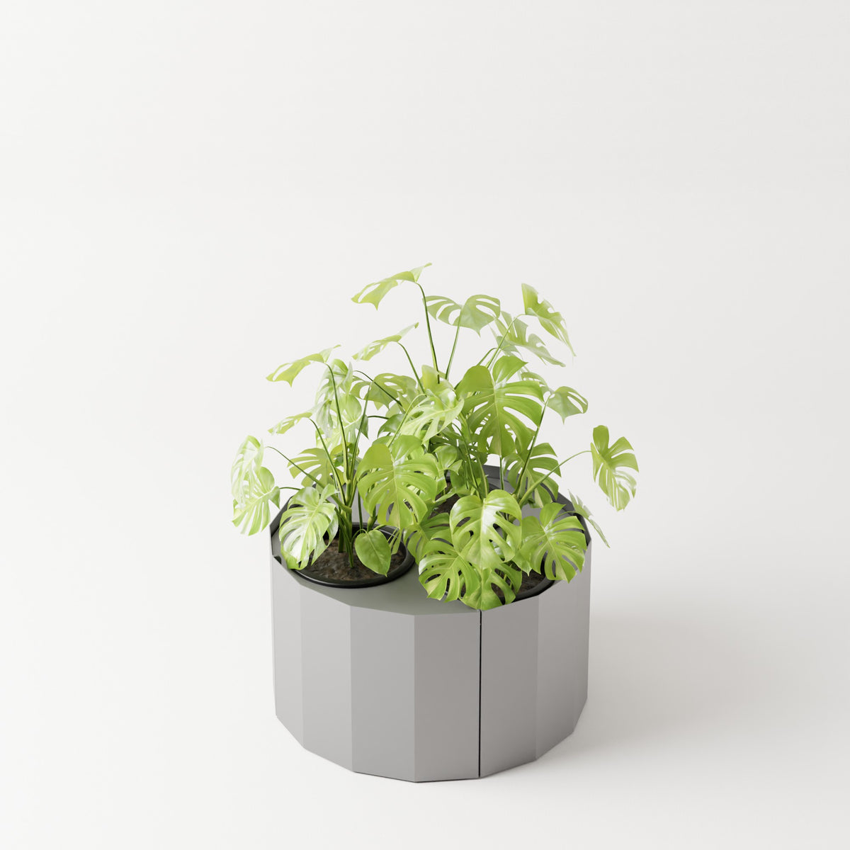 Furl Planter