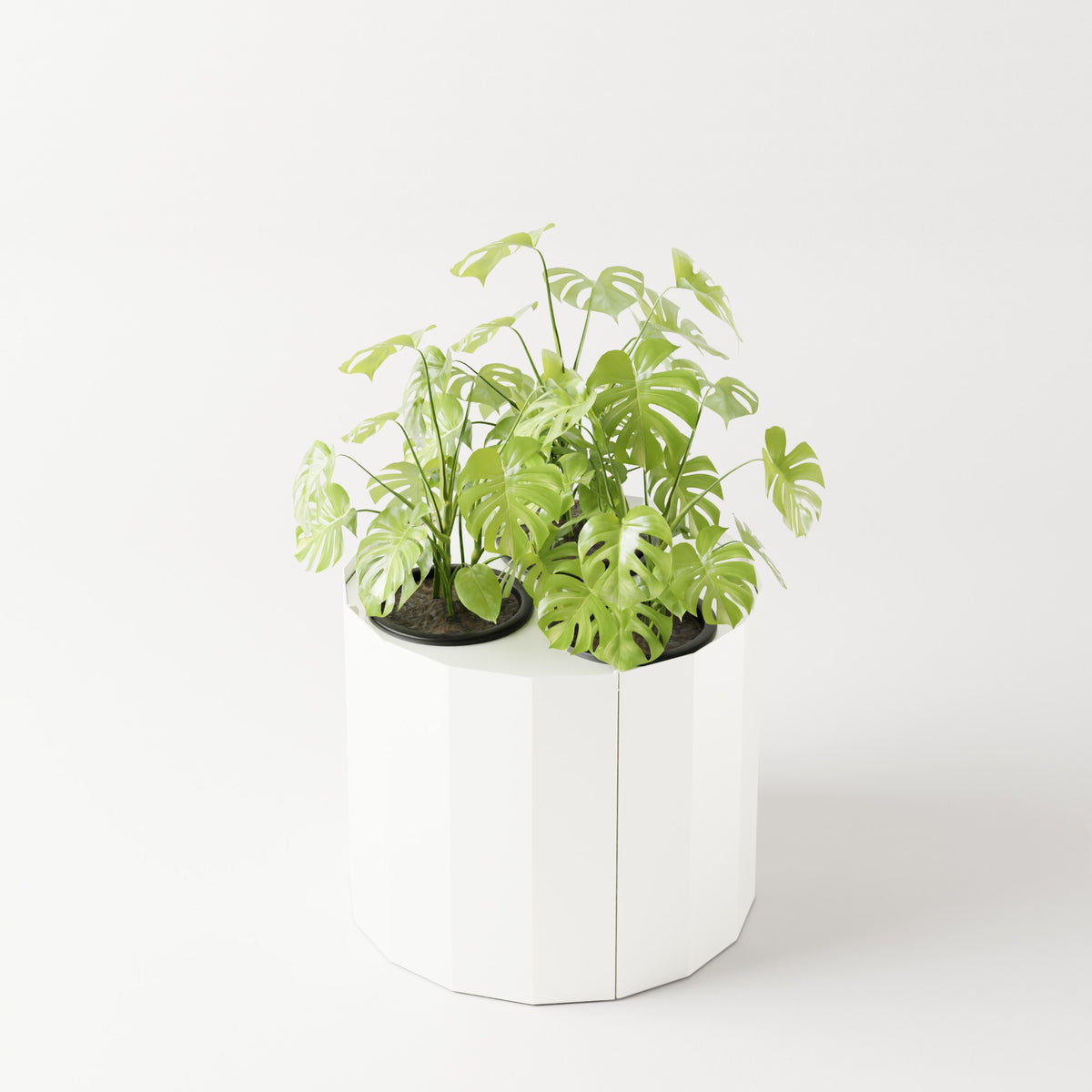 Furl Planter