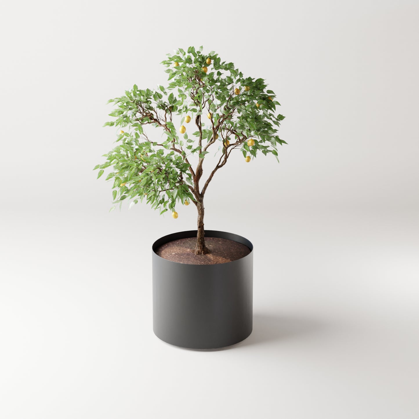 Cosmo Round Planter