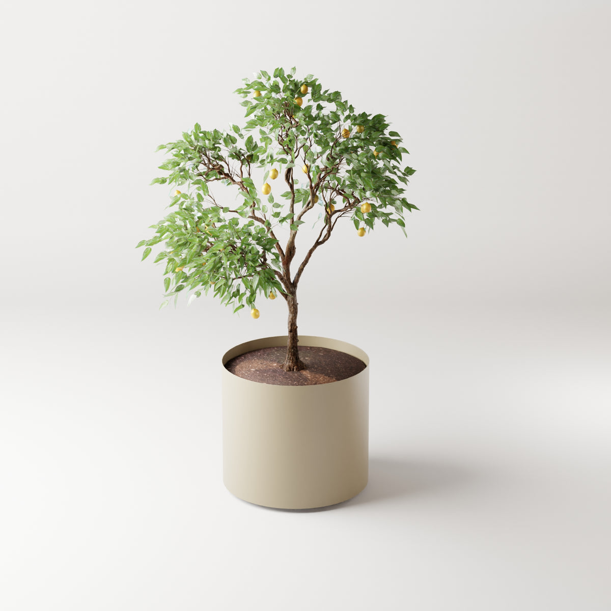 Cosmo Round Planter
