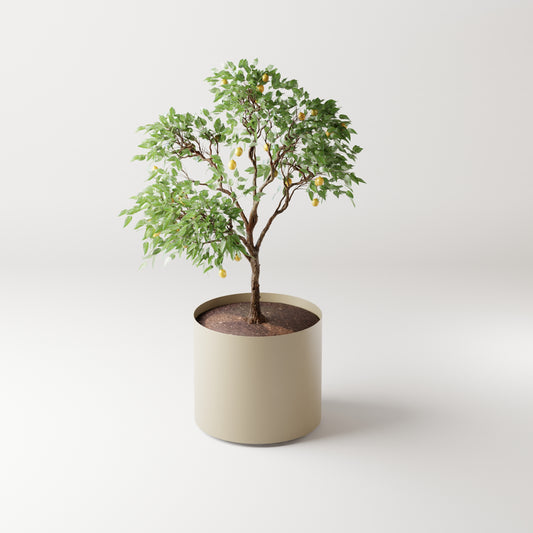 Cosmo Round Planter