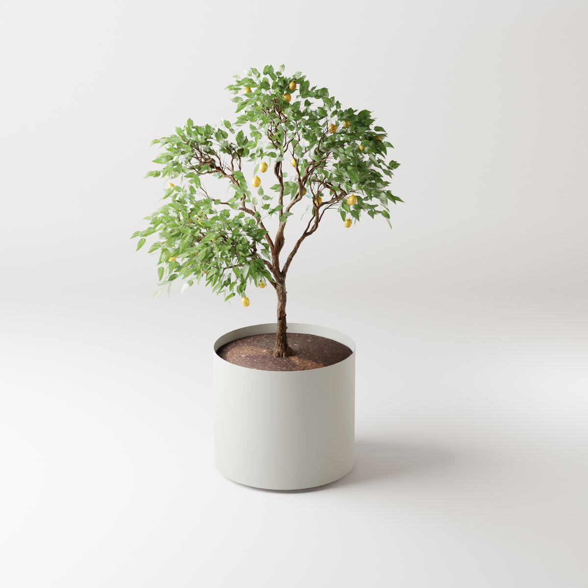 Cosmo Round Planter