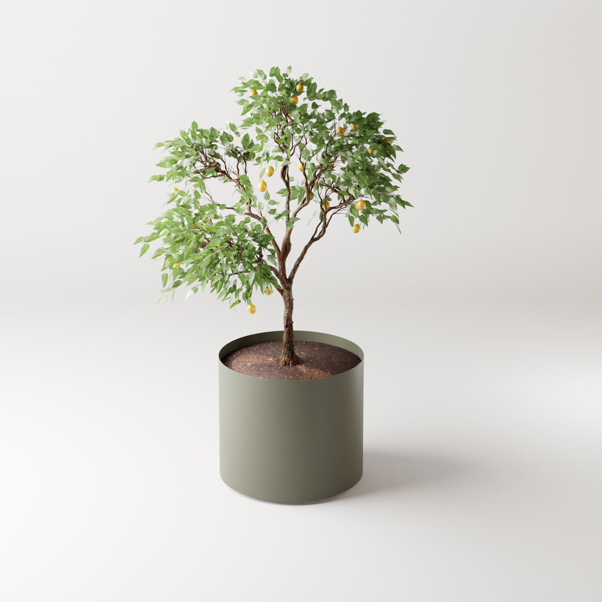 Cosmo Round Planter