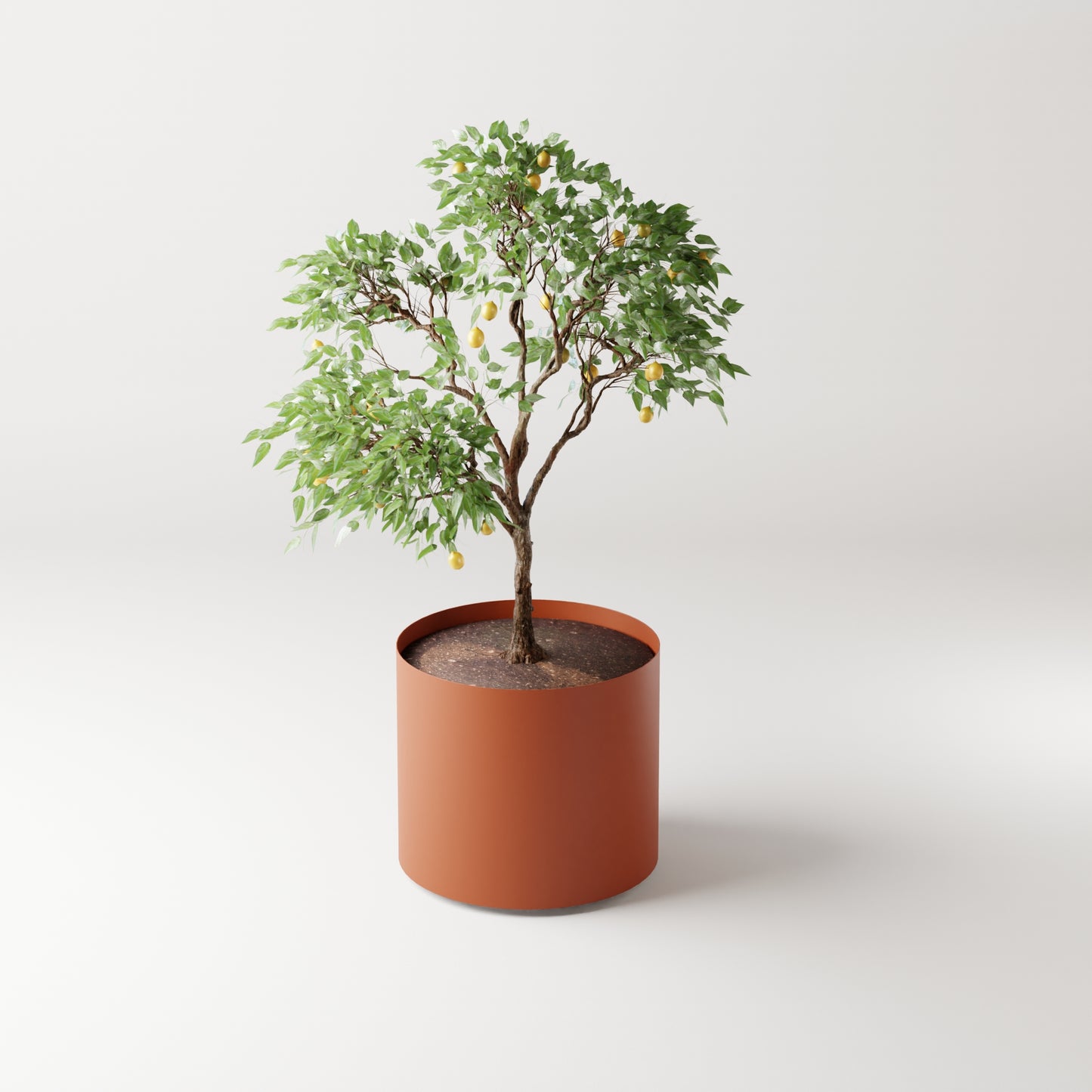 Cosmo Round Planter