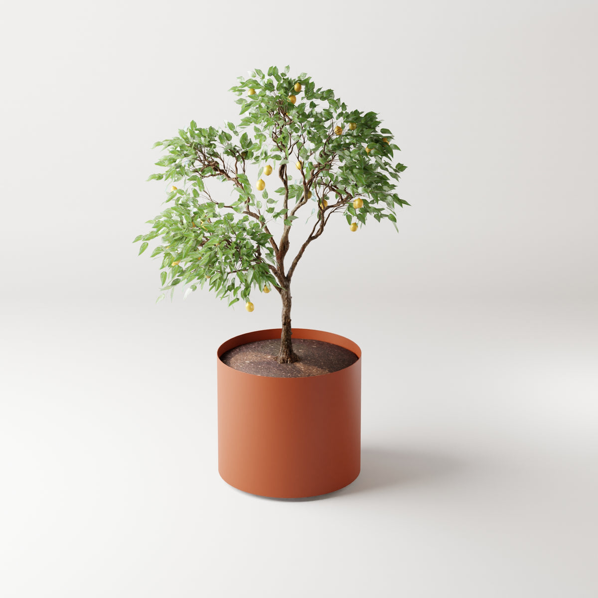 Cosmo Round Planter